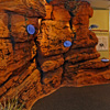 Red Cliffs Desert Reserve