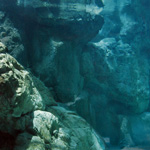 Seal Aquarium