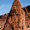 Indian Climber