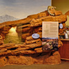 Red Cliffs Desert Reserve