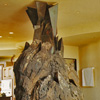 Modern Fireplace