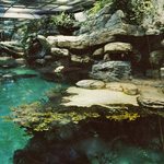 AquarioDeGenoa