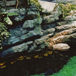 AquarioDeGenoa3